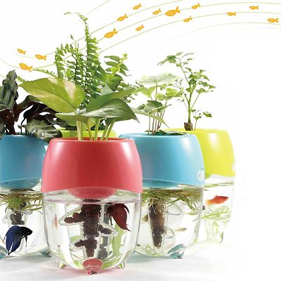 Aquaponic Fish Tank Aquarium for Betta Fish Water Garden Planter Top Lid Natural