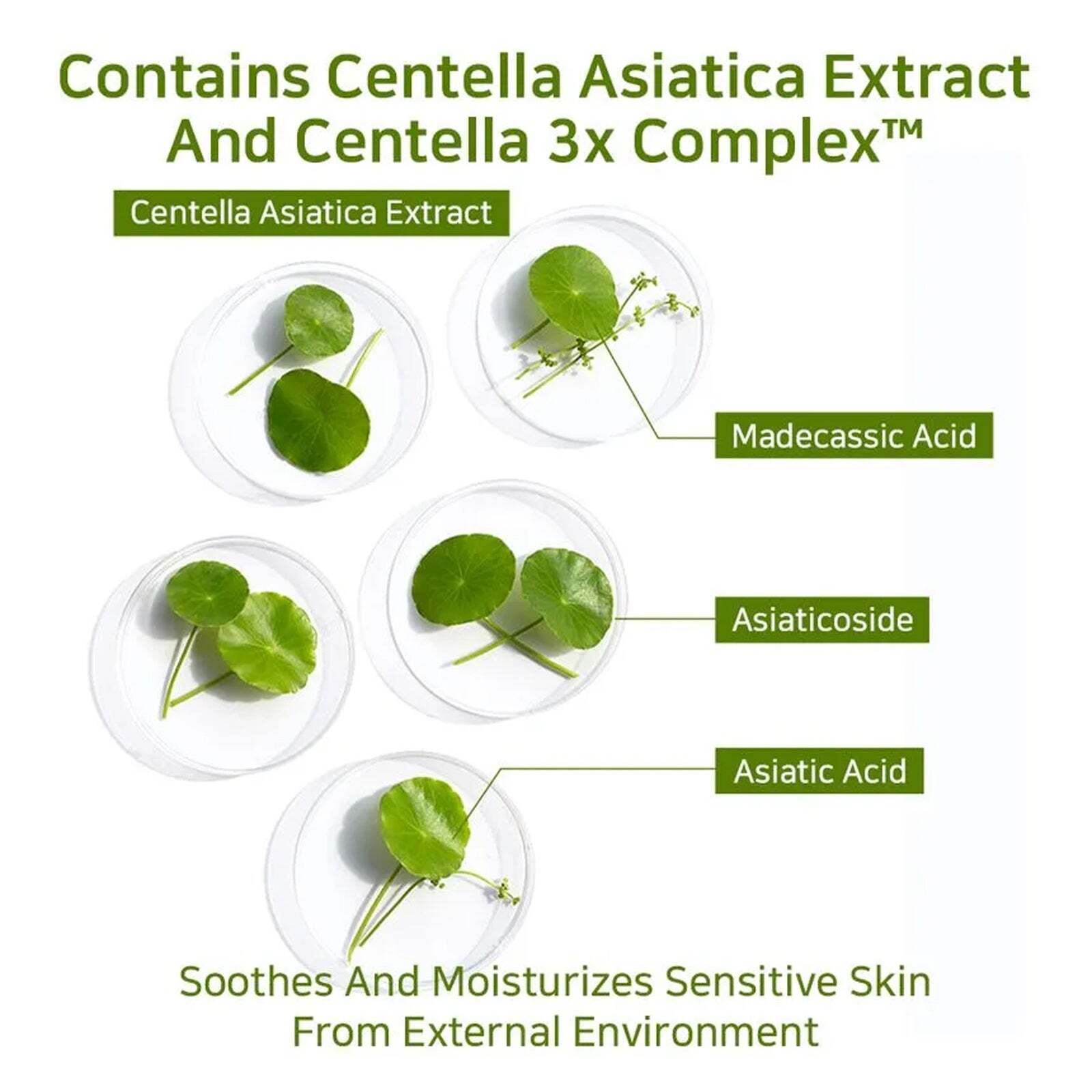 [ APLB ] Glutathione Niacinamide Body Lotion 300ml / 10.14 fl.oz