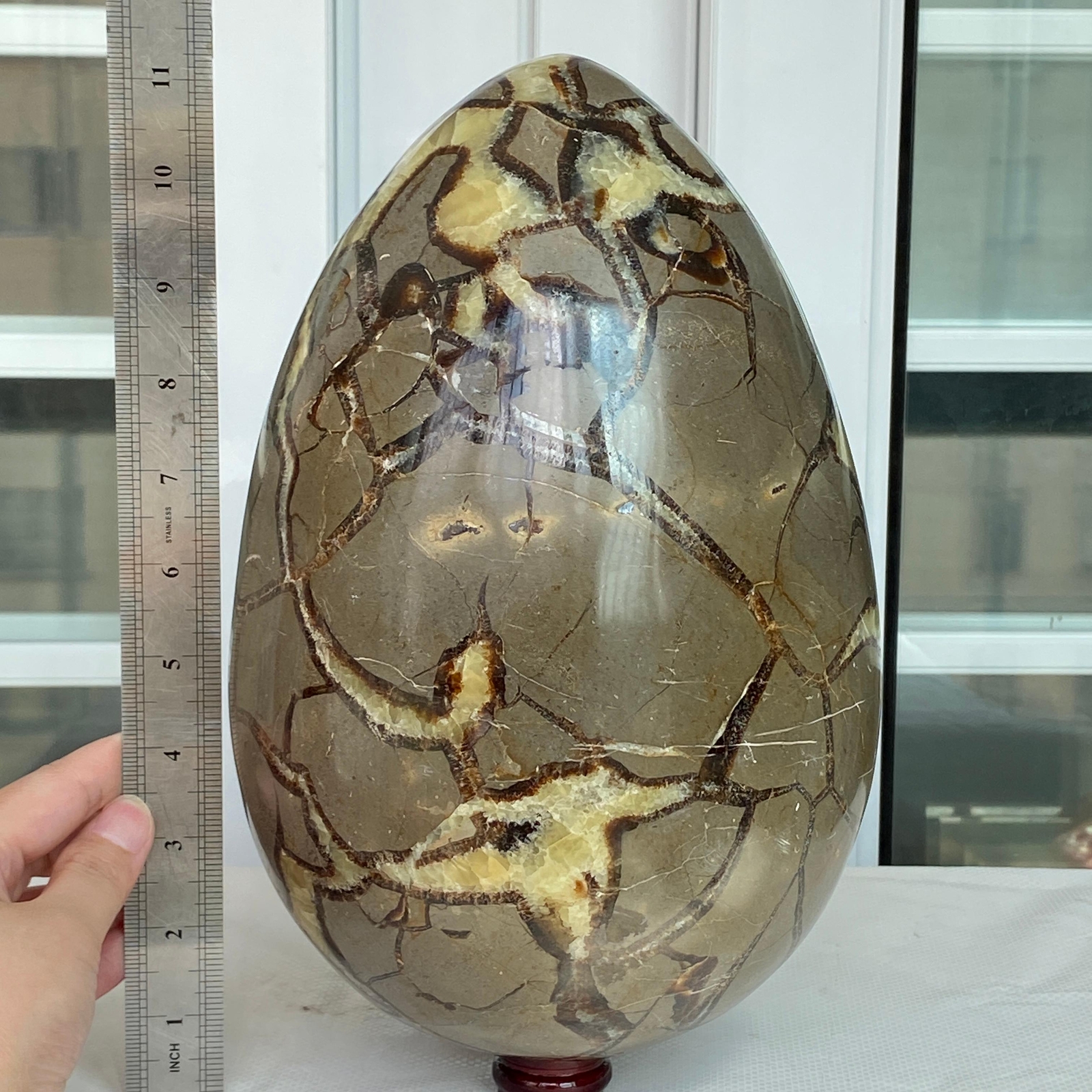 11700G Natural Turtle Back Stone Egg Shape Dragon Crystal Crack healing