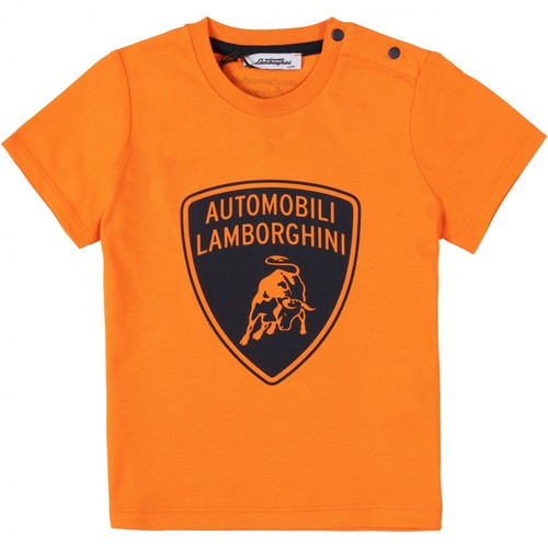 lamborghini t shirts price