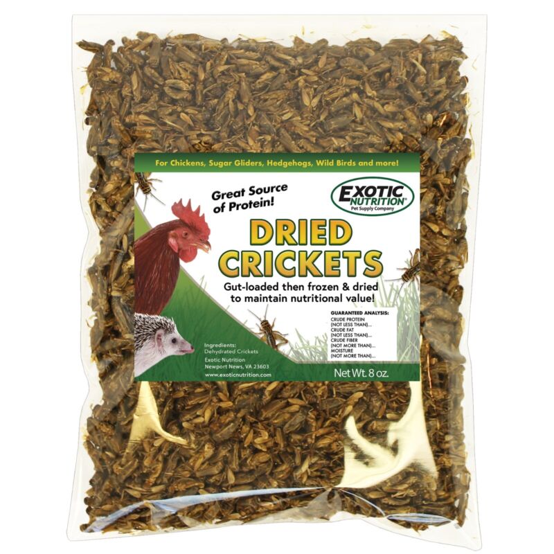 Dried Crickets 8 oz- Dried Insect Treat - Hedgehog, Bird, Sugar Glider