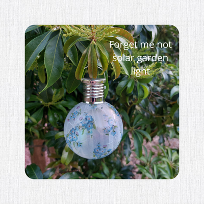 Forget me not solar light deals
