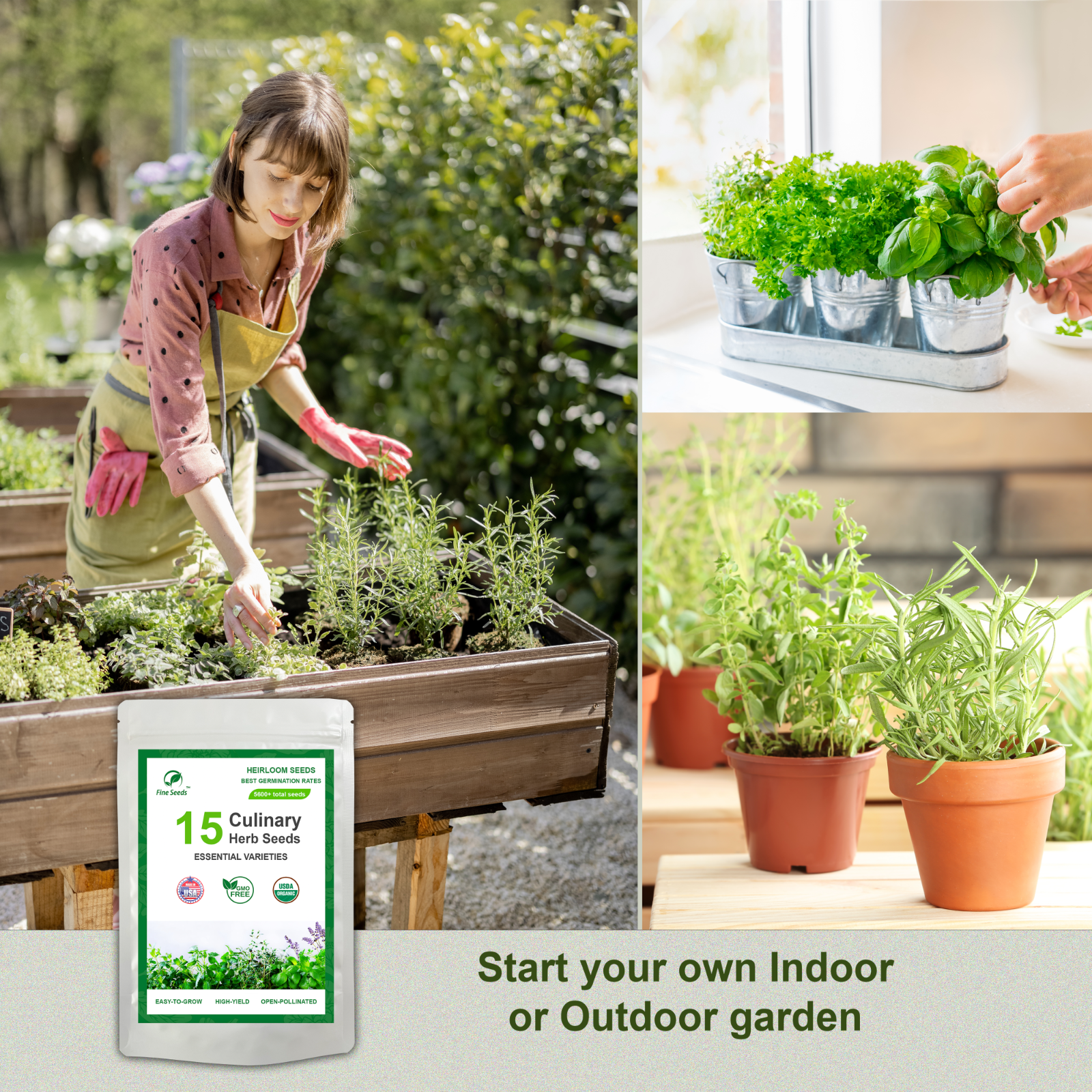 Herb Seeds Variety Pack | 15 Essential Culinary Varieties | 5600+ Heirloom Seeds