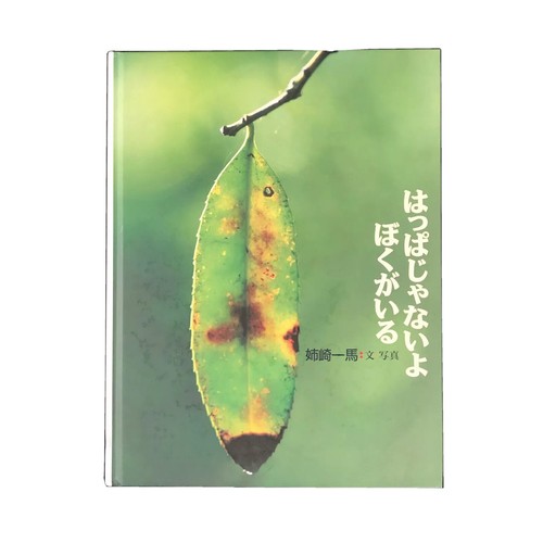 思考囲い 4枚 日本語版 334)□旧枠□《思考囲い/Thoughtseize》[TSR-BS] 黒R | 日本最大