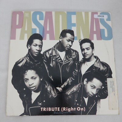 The Pasadenas Tribute PROMO SINGLE Vinyl Record Album