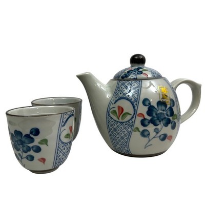 Japanese Blue Gray Floral Design Ceramic Tea Set Teapot with Infuser 2 Cups