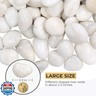 VINICS 5lbs Large Pebbles for Indoor Plants, 2-3 Inch Natural White River Rocks for Aquarium, High Polished Decorative Stones for Vase Filler Fish Tank Landscaping Garden