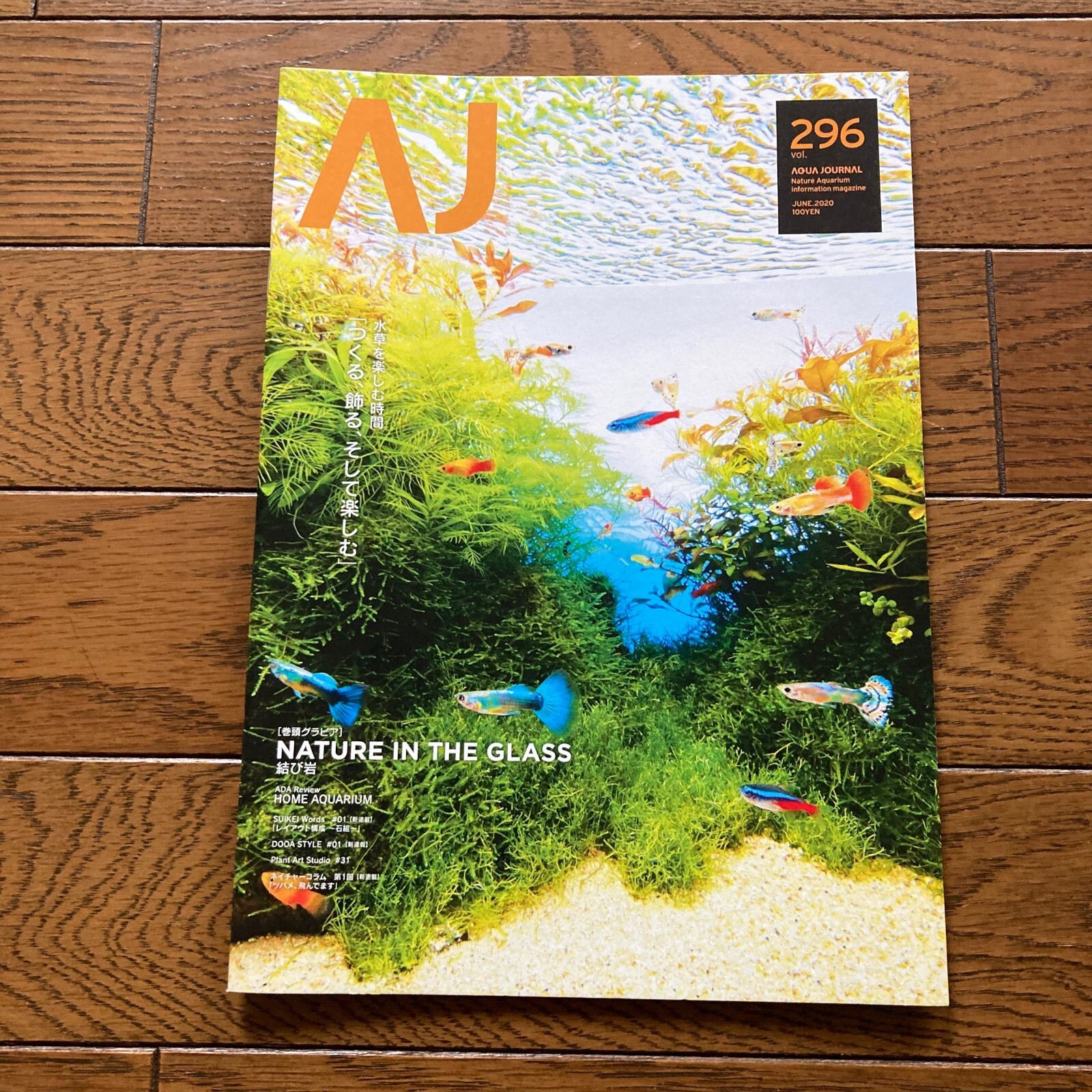 AJ Aqua Journal ADA Aqua Design Amano Nature Aquarium