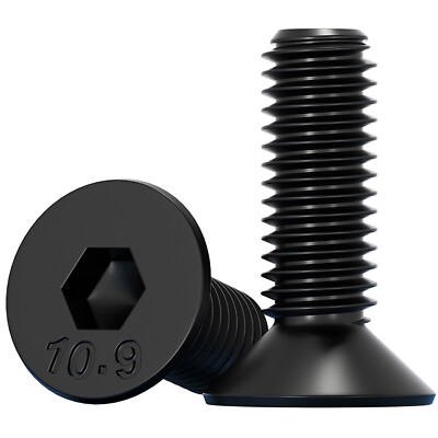 M3 M4 M5 M6 M8 M10 Socket Countersunk Screws 10.9 Ht Csk Hex Allen Key Bolts