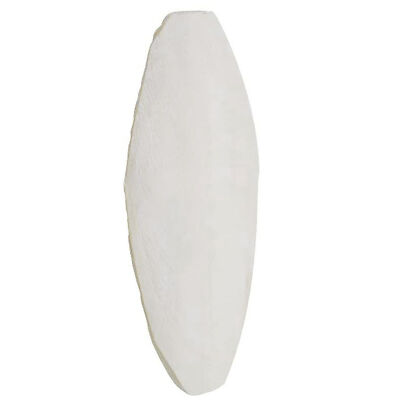 10pcs Cuttlebone for Birds Parrot Chewing Cuttle Bone for Sharp Beaks