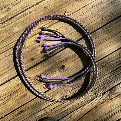 Analysis Plus solo crystal oval eight speaker wire 74 inches left and right