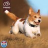 Tunkoo Fall Dog Collar Coffee Plaid Cute Adjustable Collar for Boy and Girl Dogs, Dog Collar with Strong Plastic Buckle - for Small Medium Large Pets, S
