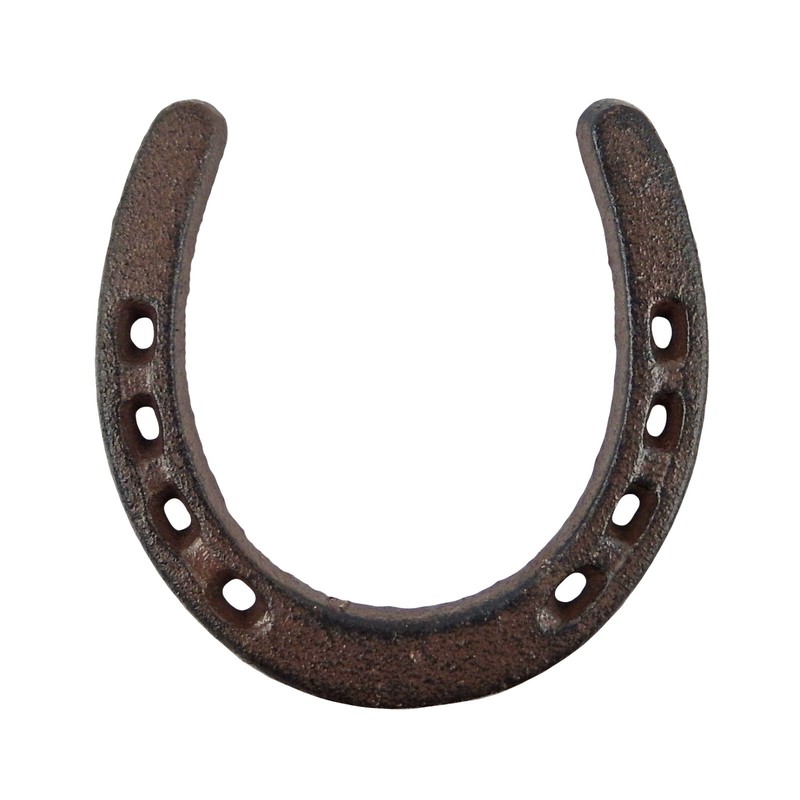 Rustic Lucky Horseshoe Cast Iron Decorative Brown Western Decor 4.5