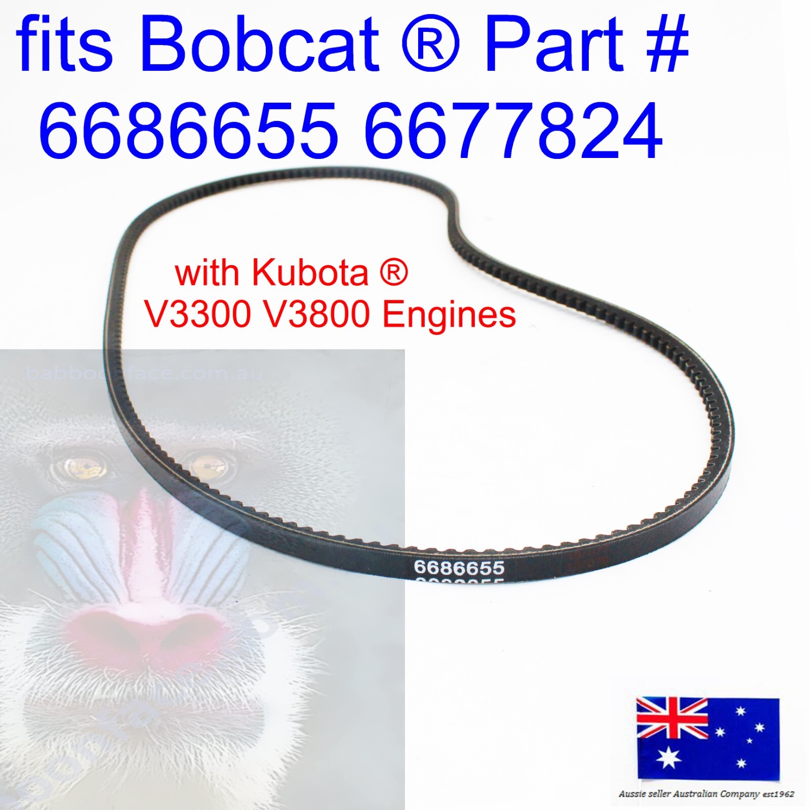 ホ $_57.JPG?set_id=880000500F