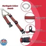 Martingale Dog Collars, Reflective Nylon Collar with Stainless Steel Chain, Adjustable Walking Training Dog Collars with Quick Release Buckle, Suitable for Small Medium Large Dogs(Red,M)