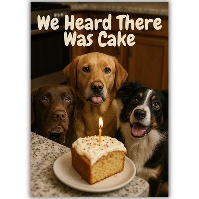 Funny Dog Birthday Card For Him Her Mum Dad Friend Men Women Dog Lover Cake Joke