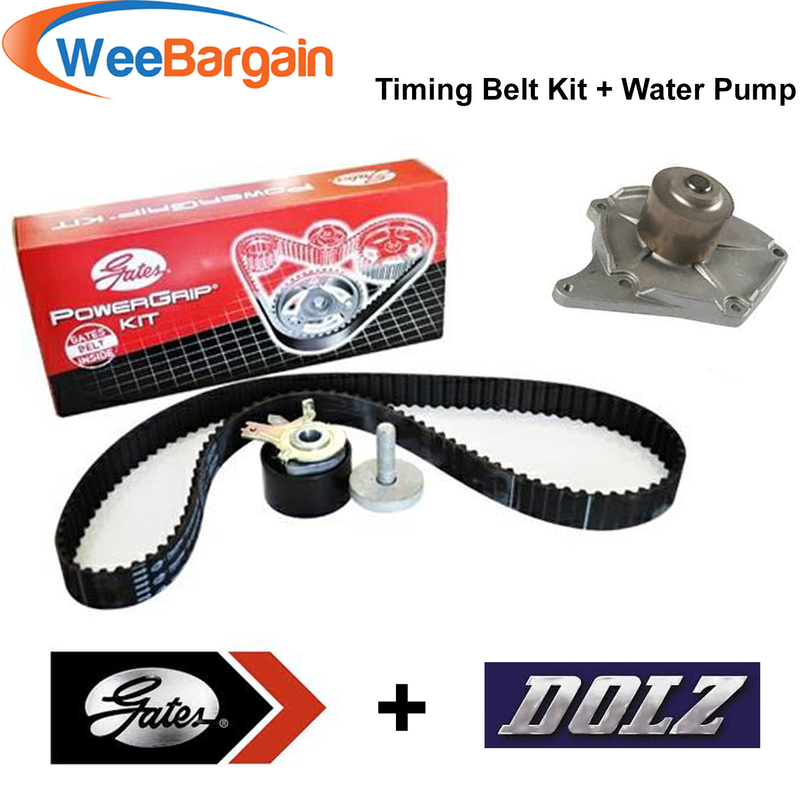 Renault Scenic Timing Belt Snapped