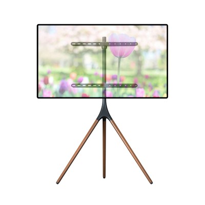 Mount For 47”-72” Screens, Holds Up To 55lbs