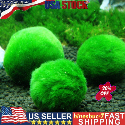 2Pcs Marimo Moss Balls Aquarium Plant Algae Fish Shrimp Tank Ornament 2-3cm