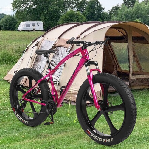 Beach Snow Bike