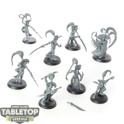 Slaves to Darkness - 8x Cypher Lords - unbemalt