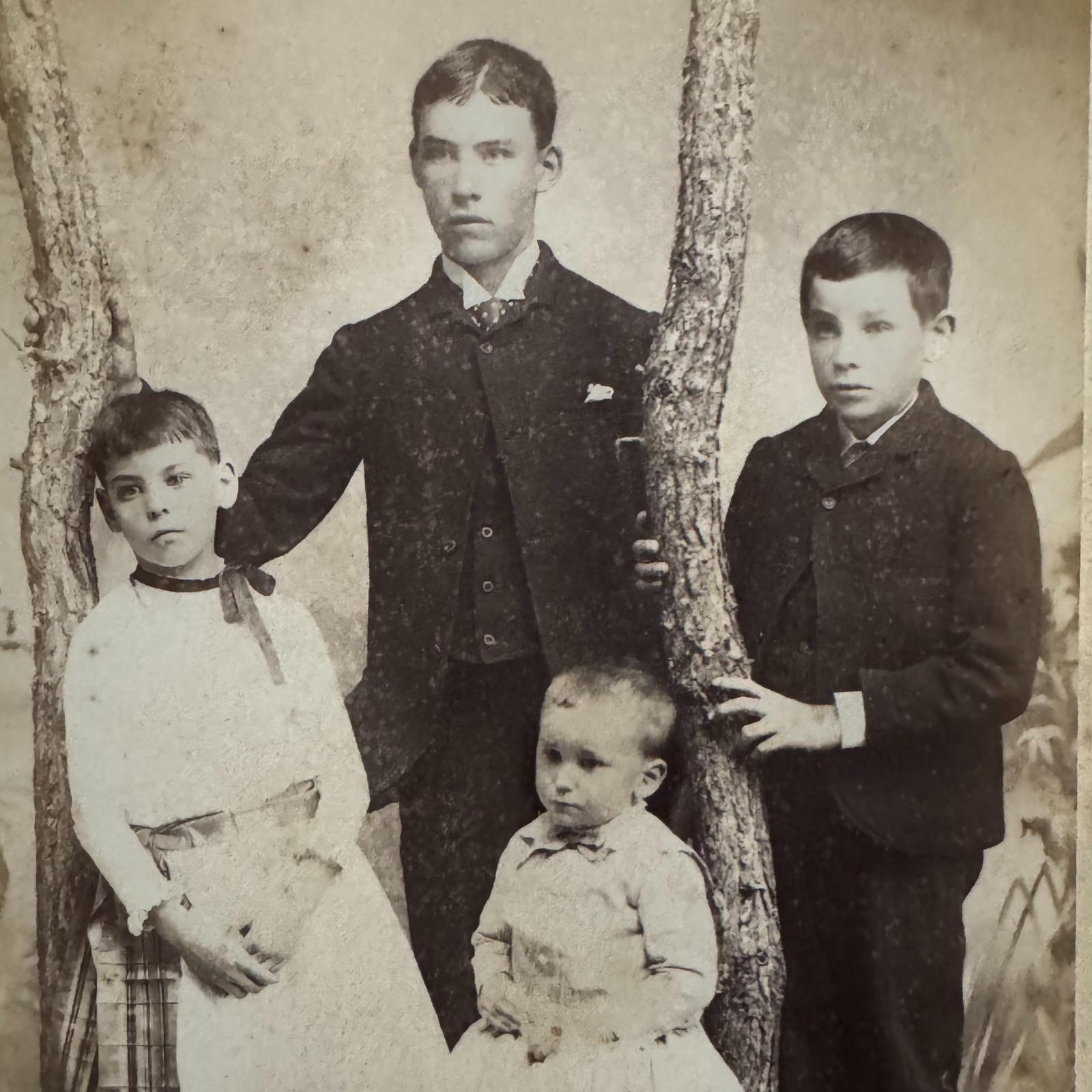 Beedy Postville Iowa Cabinet Card Photo 4 Siblings by Tree Prop