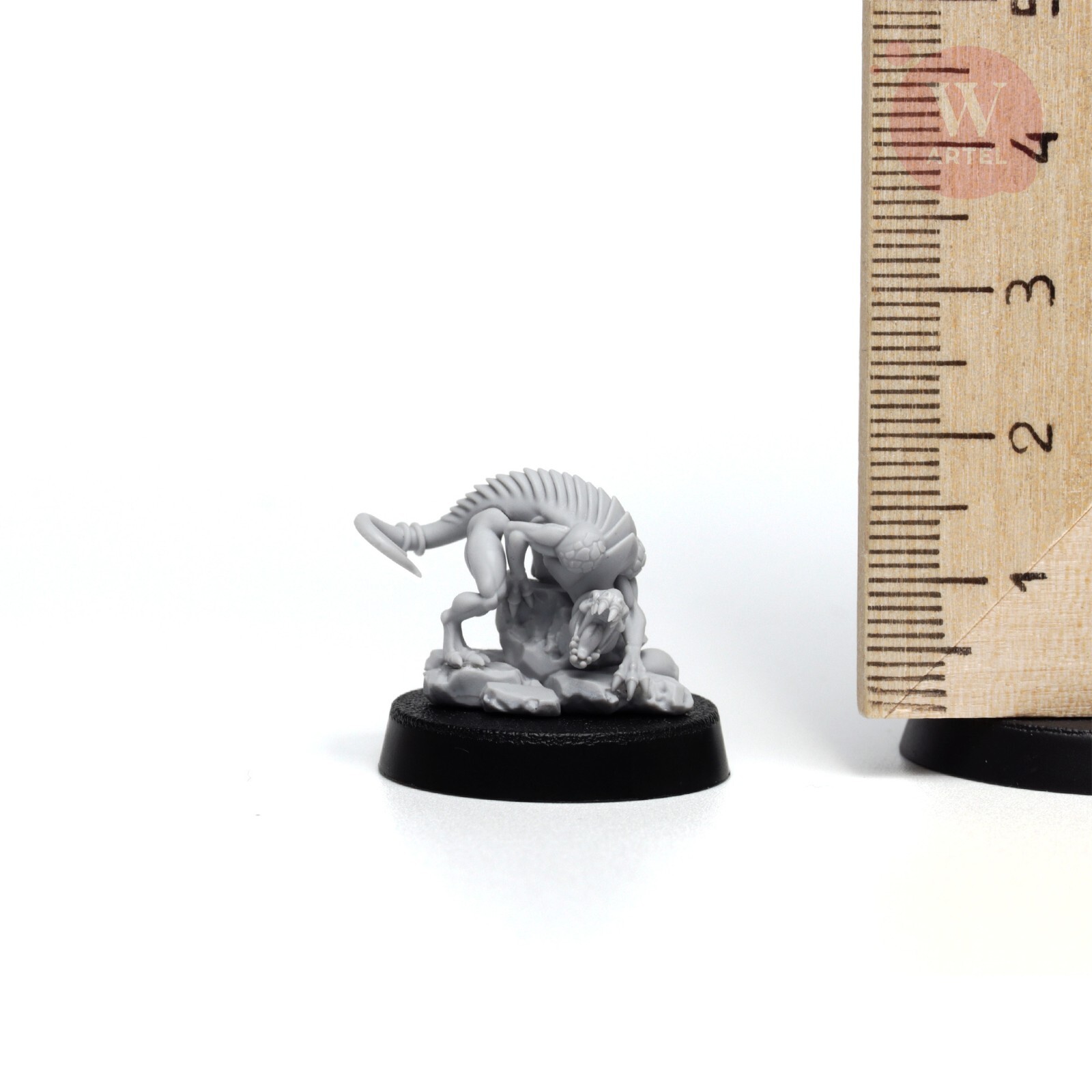 Lady Messalyse with Neros Artel WDrukhari Archon Vect Lhamaean Raidmaster