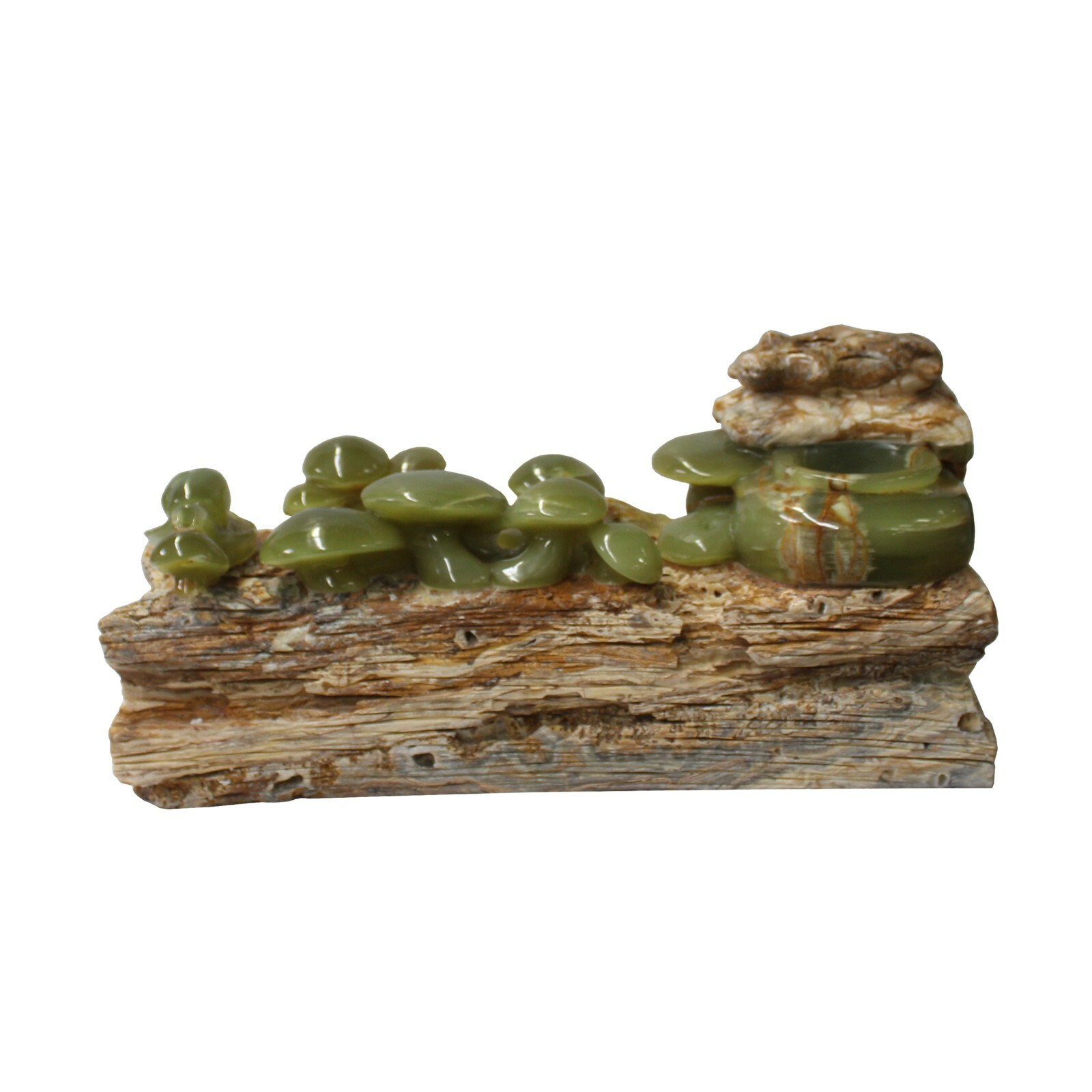 Natural Stone Carved Snail Mushroom on Wood Fengshui Display Figure ws1012S Natural Stone Carved Snail Mushroom on Wood Fengshui Display Figure ws1012S