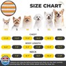 BAEJMJK Striped Dog Pajamas Stretchy Cute Four-Legged Boy Girl Dog Clothes with Sleeves Comfortable Dogs Jumpsuit Colorful Pet Puppy Outfits Apparel for Small Medium Dogs Cats(Yellow,X-Small)