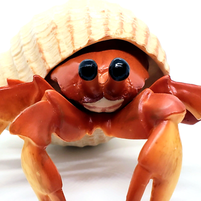 Hermit crab sales