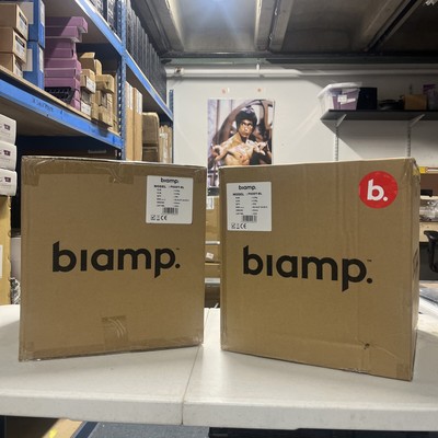 New Single BIAMP Apart P60DT-BL Black 6.5  Two-Way Pendant Loudspeaker