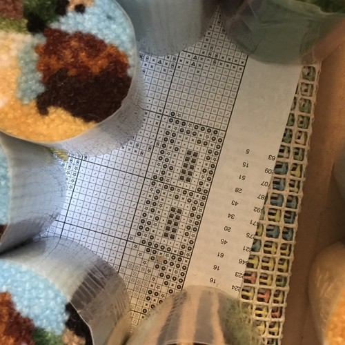 UNUSED Caron Latch Hook Rug Kit 20x27