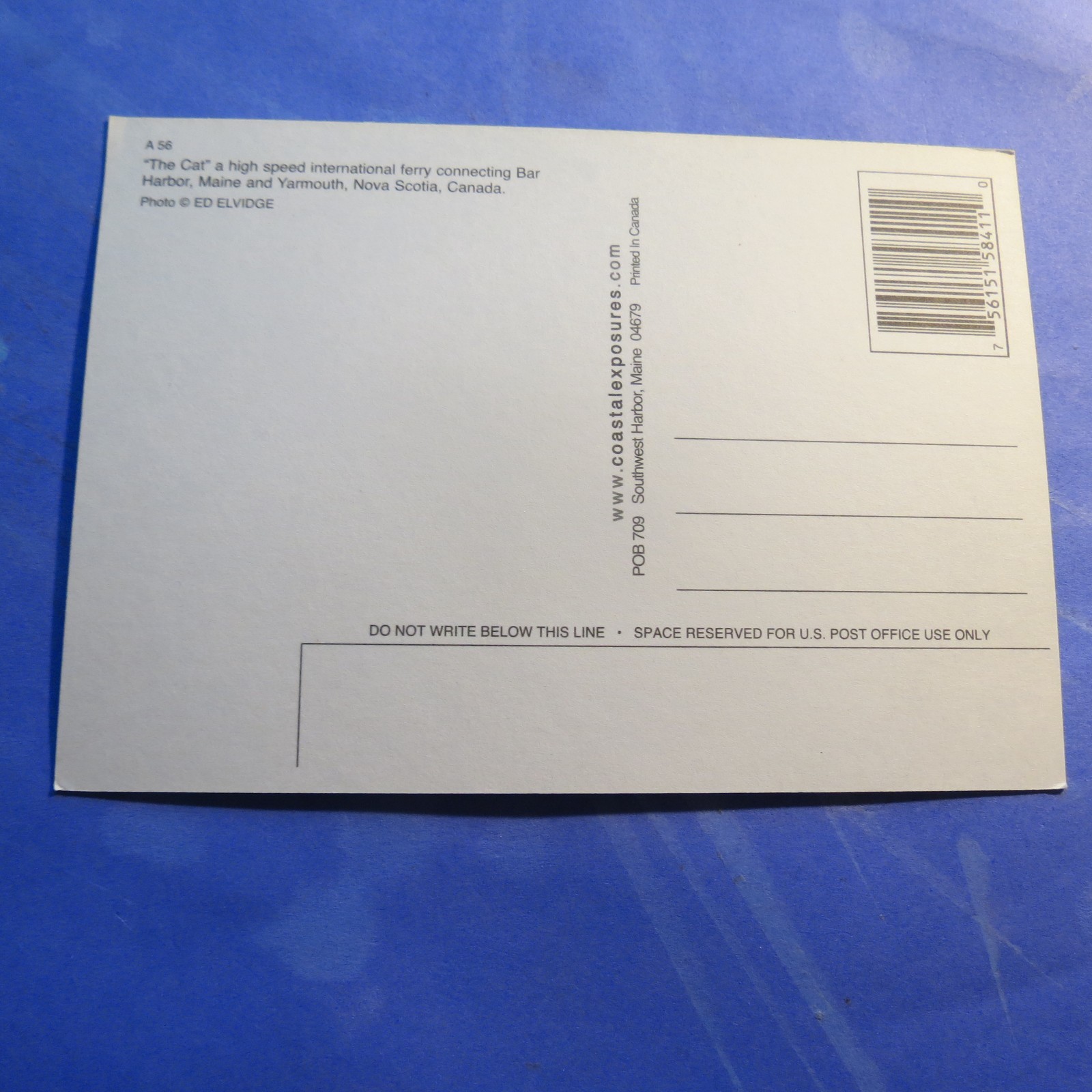 Bar Harbour Maine The Cat High Speed ferry CT Size  Postcard PC5203