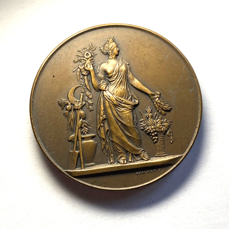 #9650 - MÃ©Daille SociÃ©TÃ© D'Horticulture De Picardie Pingret PoinÃ§On Bronze 41 Mm