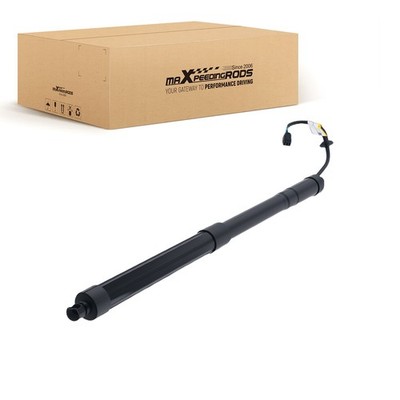 Left  Tailgate Power Lift Support for Hyundai Santa Fe 3.3L V6 Sport 2013-2016