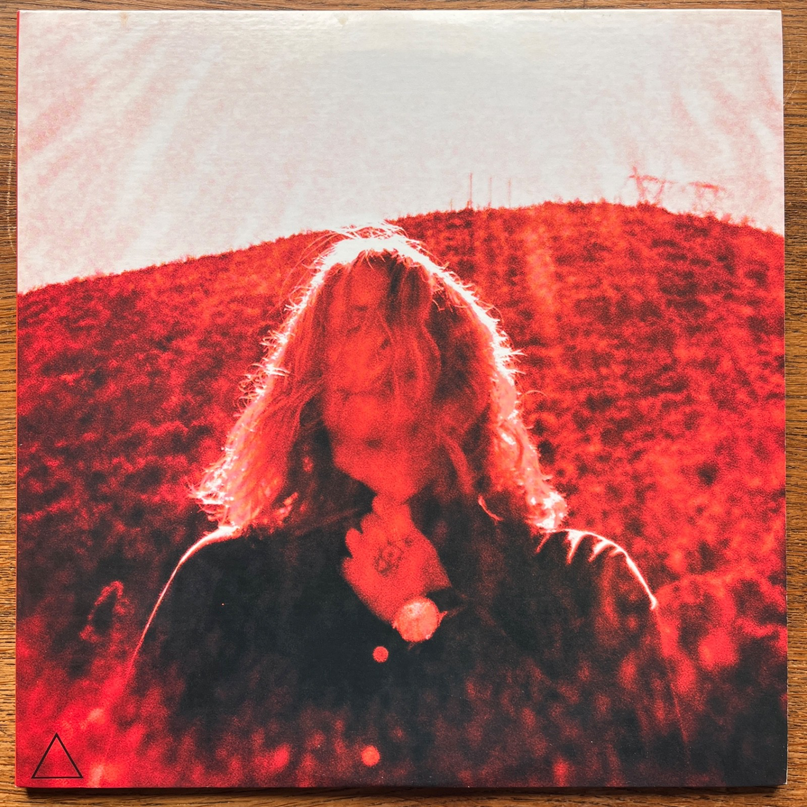 Ty Segall ‎– Manipulator - 2014 Original Limited Red 2x LP Vinyl - DC600 NM