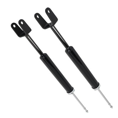 Set of 2 Rear Shock Absorbers Assembly LH RH for Dodge Dart 2013-2016 5827
