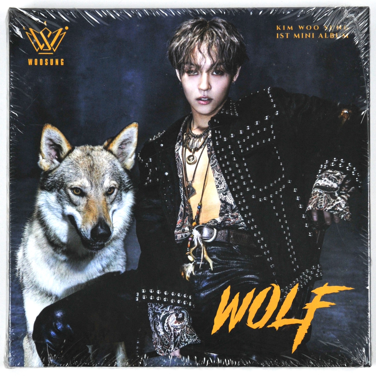 woosung WOLF CD　THE ROSE 韓国 バンド　キムウソン KIM WOO SUNG: THE ROSE 1st EP Album [WOLF] (sealed) KIM