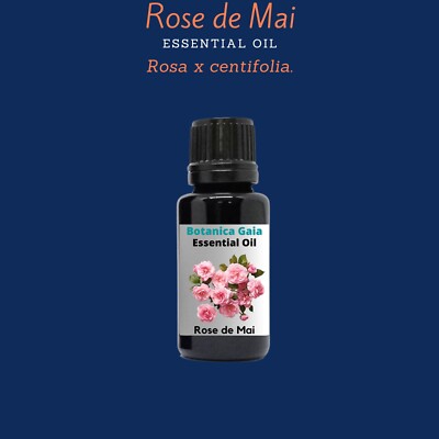 Provence Rose de Mai Otto Essential Oil 100% Pure, Organic, (Rosa x centifolia).