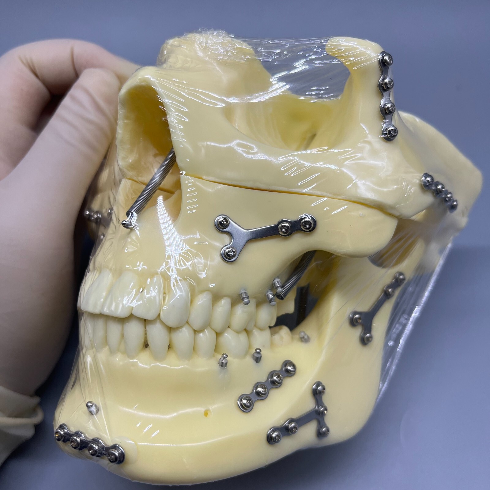 DENTAL ARMOR Jelly デンタルアーマー 製品情報 | 株式会社ForMED株式会社ForMED