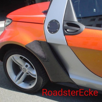 Steinschlagschutz aus Carbon für Smart Roadster 452 und Coupe