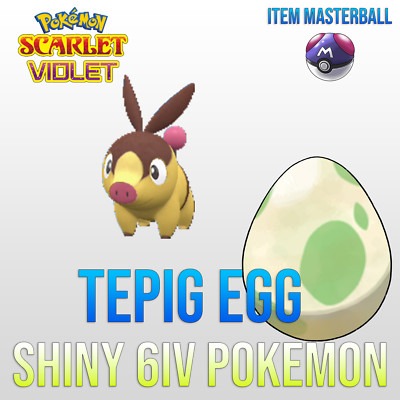 TEPIG   SHINY 6IV EGG   Pokemon SCARLET & VIOLET Unova Starter BATTLE READY