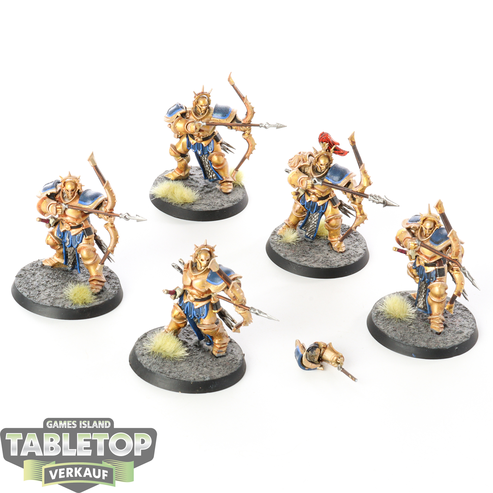 Stormcast Eternals - 5x Judicators - bemalt