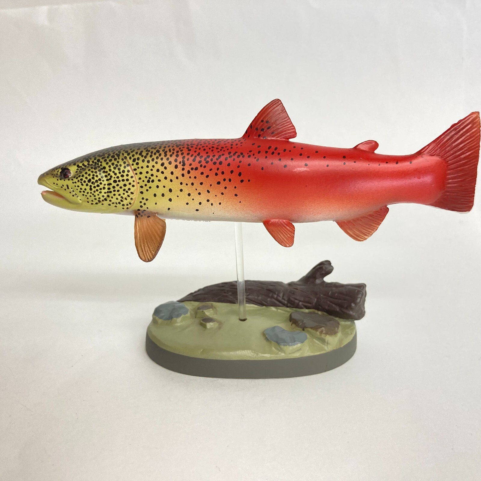 Colorata Freshwater Fish Figure Ito Japanese Huchen import