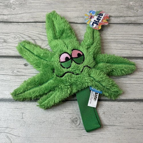 BarkBox Green Chew Leaf Hundespielzeug Für Kleine Hunde - 2-in-1 Mit Verstecktem Spielzeug & Ahorn-Duft