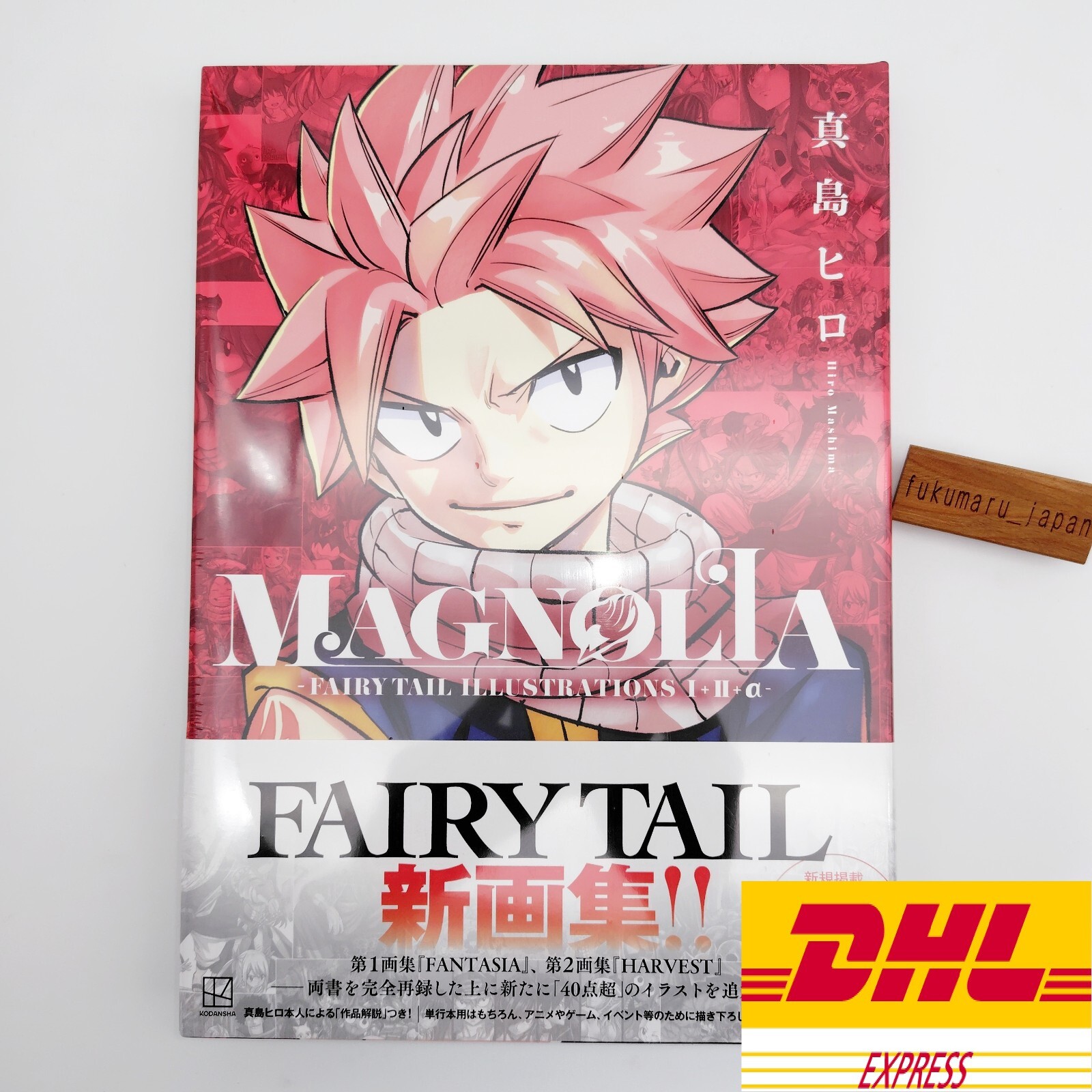 MAGNOLIA FAIRY TAIL ILLUSTRATIONS 1+2+α- Hiro Mashima Japanese