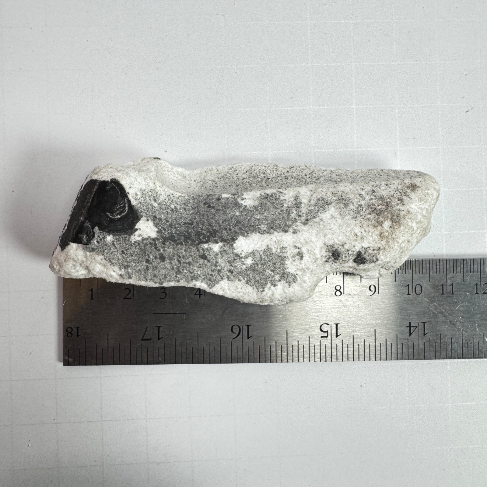 Space X Starship 34 - Recovered Heat Shield Tile - Flight 8