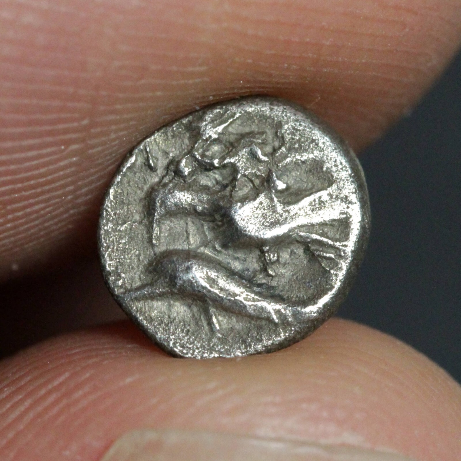 $_57.JPG?set_id=880000500F