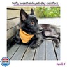fenii - Premium Cotton Dog Bandanas - 2 Pack - Adjustable Fit - Washable - for Small, Medium and Large Breeds - Girl and Boy Dog Accessories - Multiple Sizes (Bumblebee Yellow and Pebble Gray, Large)