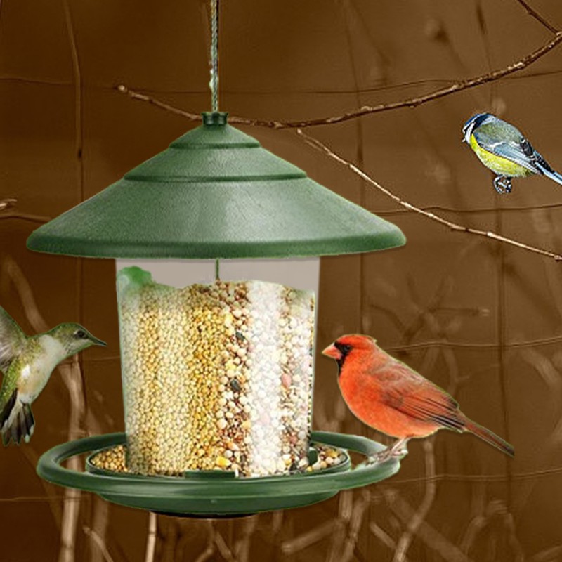 Bird Feeder Automatic Foot Feeding Tool Outdoor Bird Feeder Hanging Dispenser